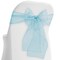 Lann's Linens - 10 Elegant Organza Wedding/Party Chair Cover Sashes/Bows - Ribbon Tie Back Sash